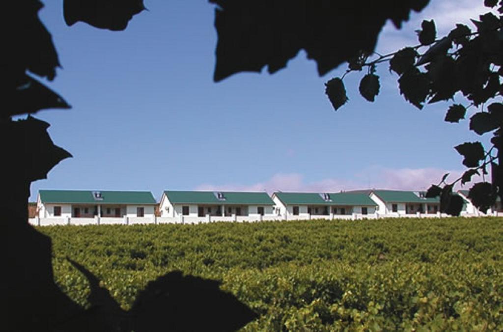 D'Aria Guest Cottages Durbanville Zewnętrze zdjęcie